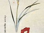 花卉作品【七】
