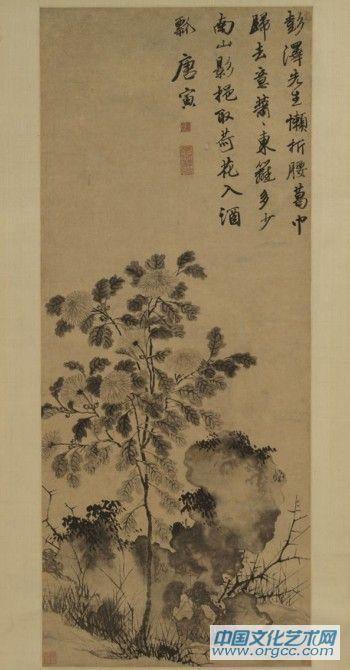 明  菊花图轴