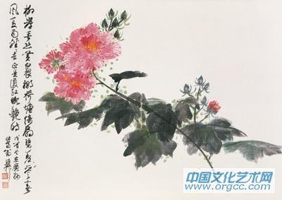 花卉作品【一】