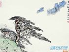 黄山松
