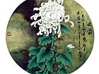 画家康利民花鸟作品《傲霜》