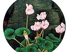 画家康利民花鸟作品《圆光》
