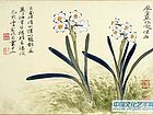水仙