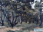 太庙白鹤林