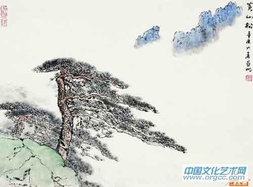 黄山松