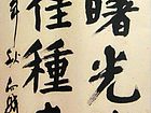 引曙光于世