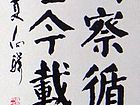 仰观俯察