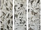 漆画