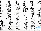会盟杯展会作品【7】