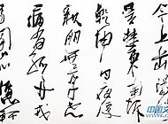 会盟杯展会作品【7】