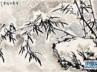 画家黄山花鸟作品《雪压银梢》
