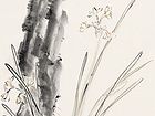 画家黄山花鸟作品《花外无春》