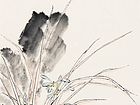 画家黄山花鸟作品《雨洗涓涓净》