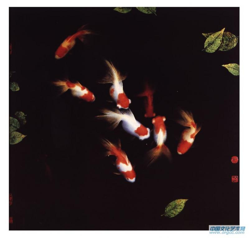 濠乐 61x61cm