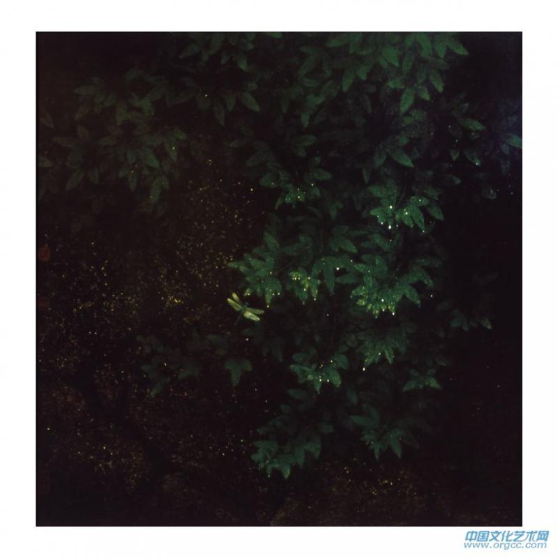 生机 60x60cm