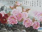 画家郝淑琳花鸟作品
