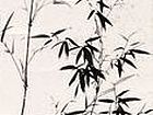 墨竹