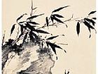竹笋