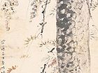 花鸟