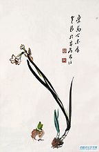挺立水仙
