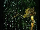 IMG_2223