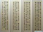 郑述信作品