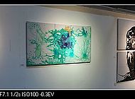 黄腾画展2011 (9)