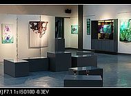 黄腾画展2011 (8)