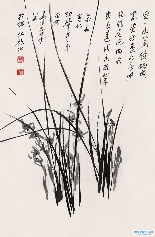 兰草佳作