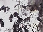 画家杜晓春牡丹写生作品