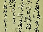 王向阳