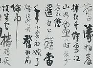 姚北辰3