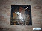 尚水国际养身馆作品