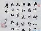 沈子丞作品