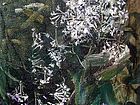 黄来铎作品