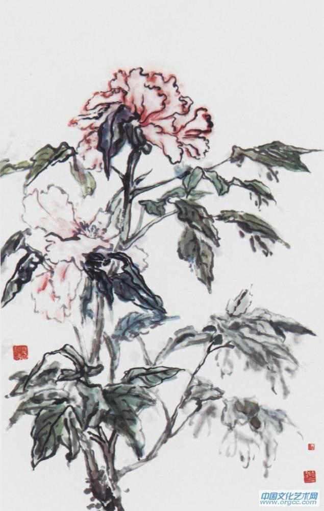 画家杜晓春牡丹写生作品