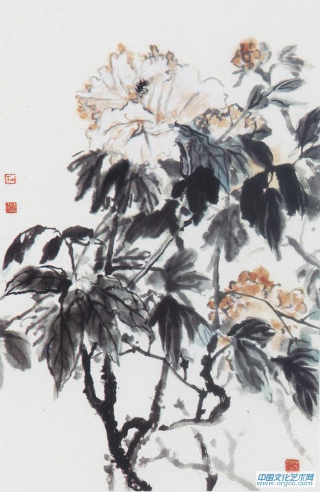 画家杜晓春牡丹写生作品
