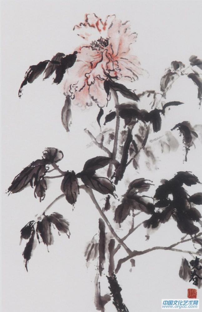 画家杜晓春牡丹写生作品