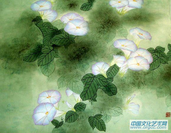 牵牛花