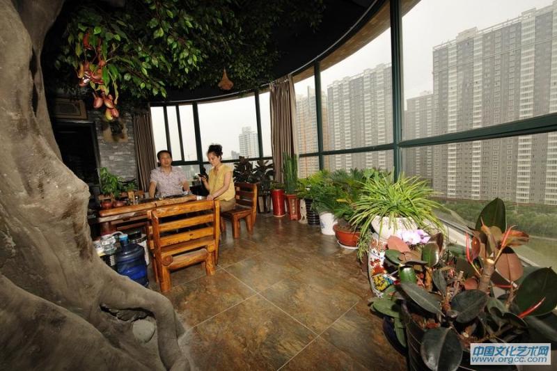 树下休闲喝茶