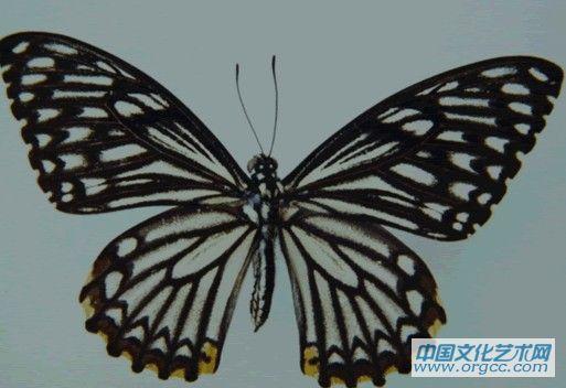 馆内展品