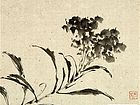 王一花鸟作品