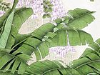 马志红作品