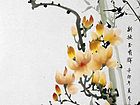 玉兰05