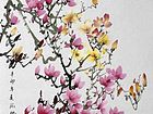 玉兰09
