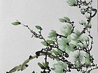 玉兰11