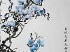 玉兰13