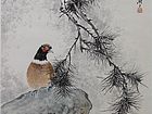 谢伟强花鸟作品