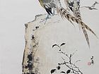 谢伟强花鸟作品