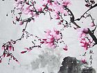 玉兰18.JPG